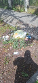 Foto: Müll in der Hausmannstraße und Werderstraße 