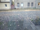 Foto: Laub u. Unkraut Beseitigung Mauerstr.15 
