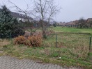 Foto: 2 nicht entsorgte Tannenbäume 
