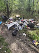 Foto: Müll im Wald 