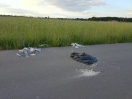 Foto: Wilde Entsorgung  