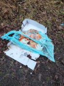 Foto: Abfall / Müllentsorgung im Wald 