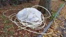 Foto: Wilde Deponie  Plastekabel 
