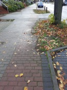 Foto: Zugewachsene Geh und Radwege / fehlende Wegsunterhaltung 