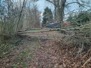 Foto: Sturmschaden 