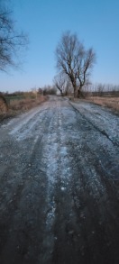 Foto: Die gesamte (Strasse) besteht nur noch aus tiefen Löchern. 