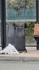 Foto: gelbe Tonne  