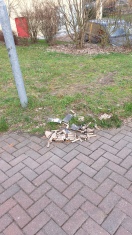 Foto: Abgebranntes Feuerwerk 