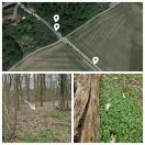 Foto: Müllsäcke und diverser Müll 