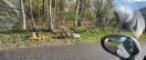 Foto: Müllentsorgung 
