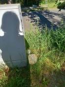 Foto: Wilde Deponie  