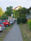 Foto: Wuchernde Hecke 