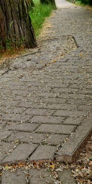 Foto: Gehwegschäden  