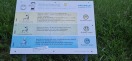 Foto: Gerät Hüftschwung 