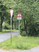 Foto: Büsche versperren Sicht 