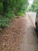 Foto: Gehweg fast nicht mehr erkennbar  