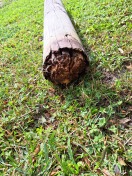 Foto: Begrenzungspfosten abgefault 