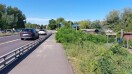 Foto: Wildwuchs über den Geh- und Radweg an der B102 