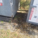 Foto: Müllcontainer  