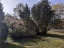 Foto: Friedhof Säritz  