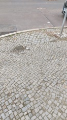 Foto: Glasscherben Ecke Vereinsstraße 32 