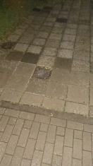 Foto: Gehwegplate fehlt  