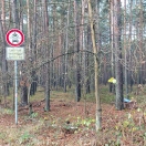 Foto: Ölflaschen im Wald  