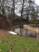 Foto: Wilde Deponie 