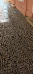 Foto: Loch im Pflaster  