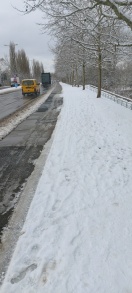 Foto: Zentrumsring B1/B102 - Verkehrszeichen 241 geh und Radweg beides ist in Mindestbreite zu räumen  
