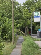 Foto: Baum liegt auf Telefonleitung  