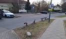 Foto: Holzbarriere/ -Poller defekt bzw. gebrochen 