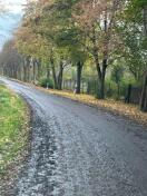 Foto: Verdreckte Fahrbahn  