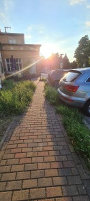 Foto: Gehweg zugewachsen 