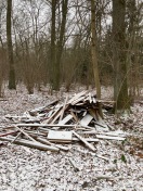 Foto: Holzmüll im Wald 