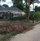 Foto: Astbruch  