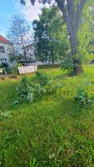Foto: Astbruch 