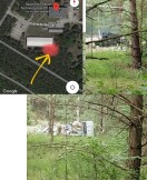 Foto: Ablagerung von Altreifen, Schutt, Kühlschränken im Freien/Wald auf Privatgelände 