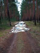Foto: Wilde Deponie 