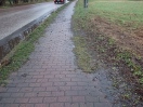 Foto: Fußweg stark verschmutzt  