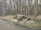 Foto: Illegale Holzabladung 