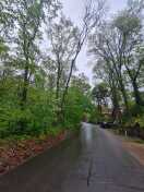 Foto: Toter Baum gegenüber Neubau/ Gefahr des Baumbruches 
