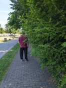 Foto: Überhang des Bewuchses auf den Gehweg am Parkplatz Der Gehweg am Park 
