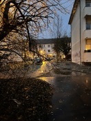Foto: Ast hängt über den Fußweg 