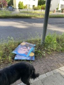 Foto: Politische Werbung  