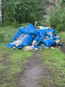 Foto: LKW-Ladung Müll auf Waldweg 