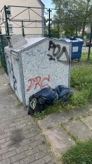 Foto: Müllentsorgung auf Gehweg 