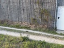 Foto: Betonreste, Abschnitte und Gartenmüll an der Mauer 