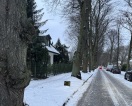 Foto: Dusselstein steht im Schatten der Beleuchtung.    