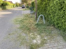 Foto: unsachgemäße Grünflächenpflege 